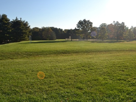 Community Fields