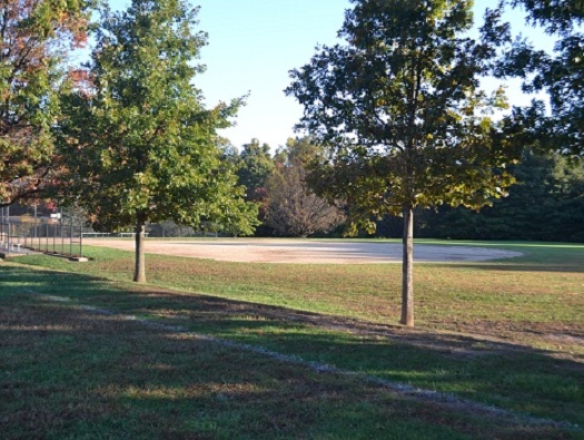 Community Fields