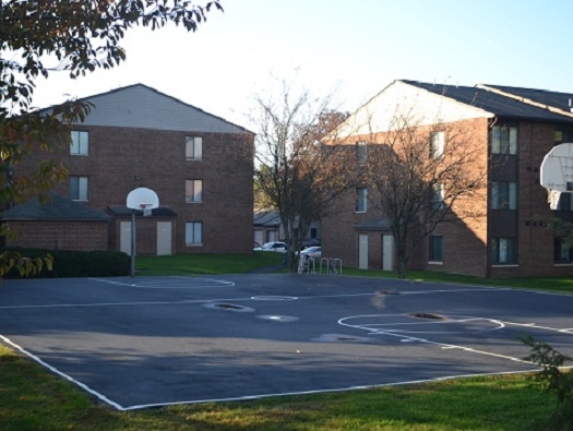 Tennis & Basketball