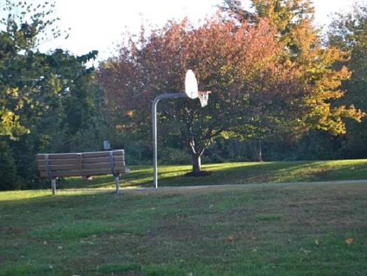 Tennis & Basketball