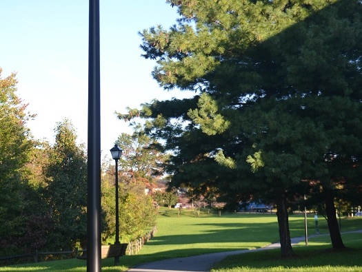 Picnic Area & Dog Park