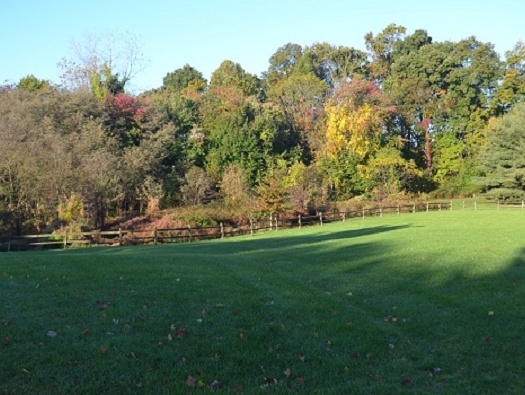 Picnic Area & Dog Park